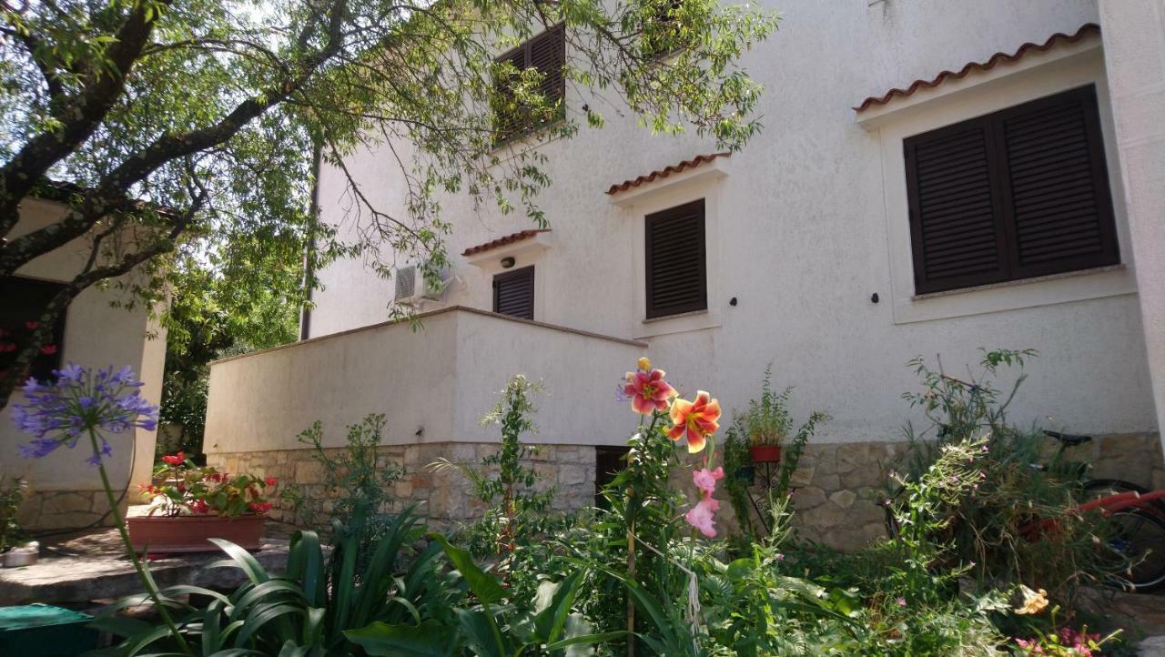Apartman Dino Tar-Vabriga Exterior photo